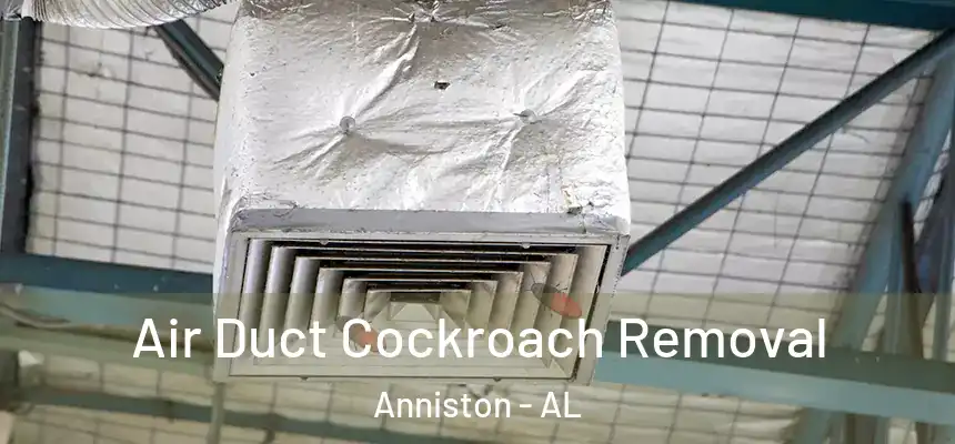 Air Duct Cockroach Removal Anniston - AL