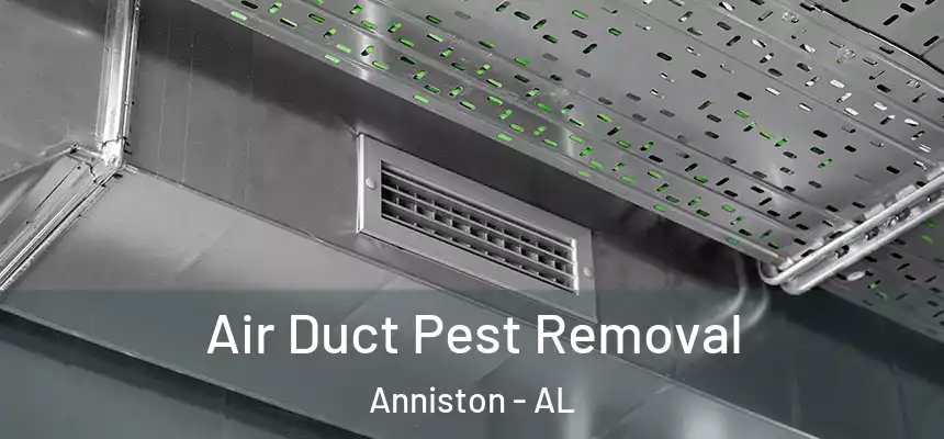 Air Duct Pest Removal Anniston - AL
