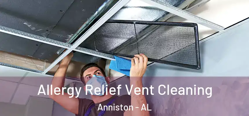 Allergy Relief Vent Cleaning Anniston - AL