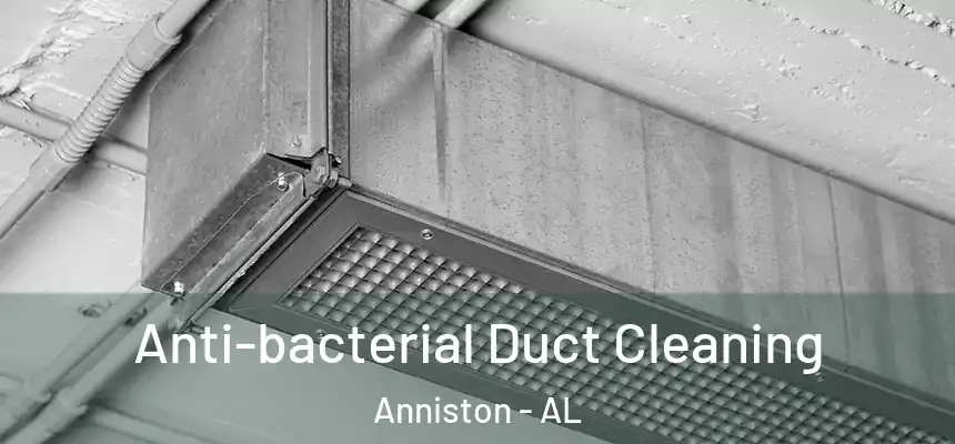  Anti-bacterial Duct Cleaning Anniston - AL