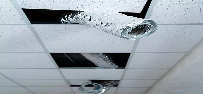 Affordable HVAC Sanitizing After Pest Removal in Anniston