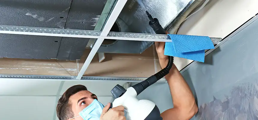Our Air Duct Rodent Removal Services in Anniston, AL