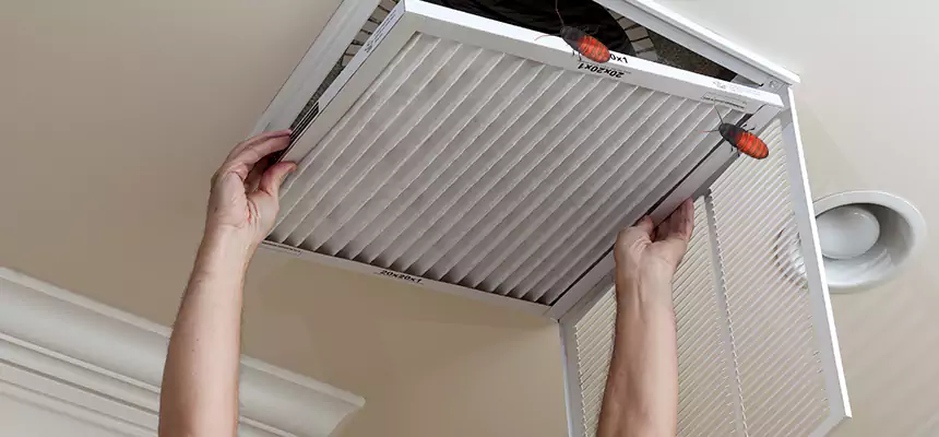 Our Insect Removal from Air Ducts Services in Anniston, AL