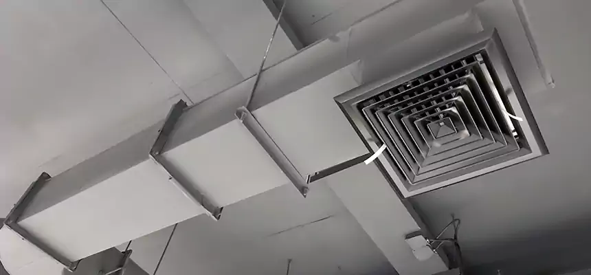 Our Pest Removal From Ducts Services in Anniston, AL