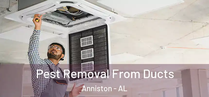  Pest Removal From Ducts Anniston - AL