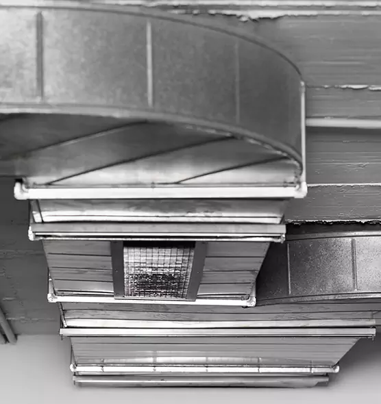 Professional Air Duct Pet Hair Removal in Anniston, AL