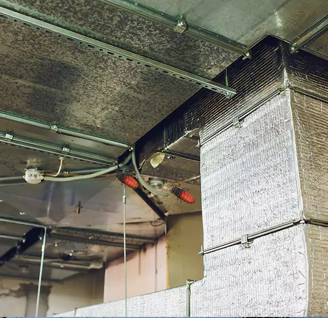 Why Homeowners & Businesses Trust Us in Anniston, AL?