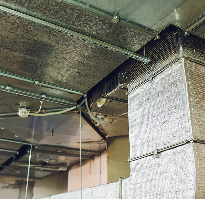 Why Homeowners & Businesses Trust Us in Anniston, AL?